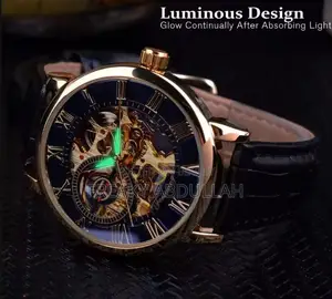 Forsining Official Manual Wind Mechanical Watch