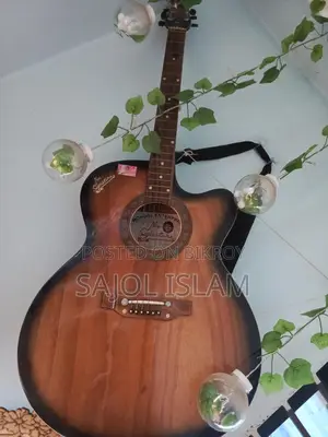 Guitar for Sale