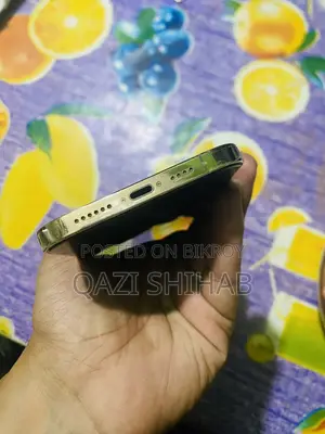 Apple iPhone 12 Pro Max (Used)