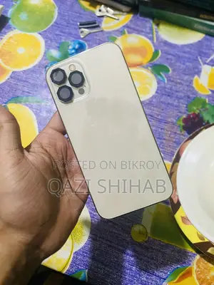 Apple iPhone 12 Pro Max (Used)
