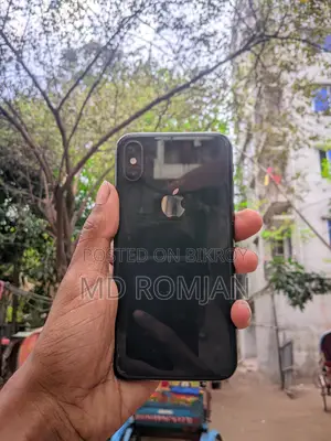 Apple iPhone XS 256 GB (Used)