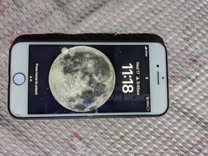 Apple iPhone 8 (256) (Used)