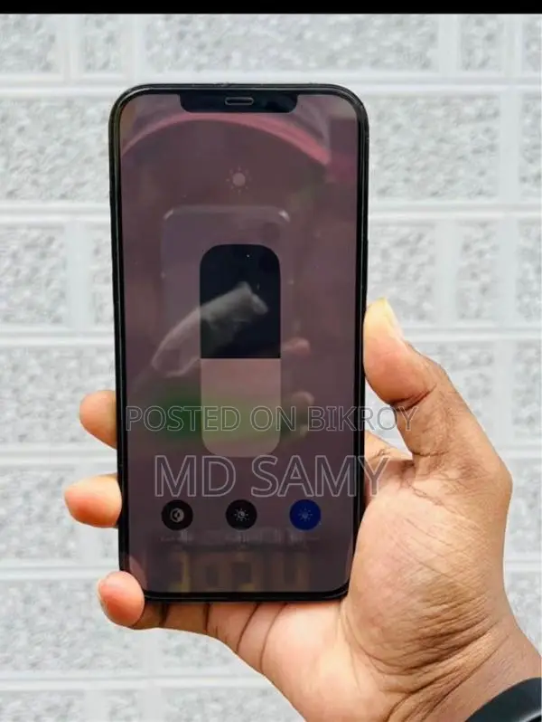 Apple iPhone 12 Pro Max . (Used)