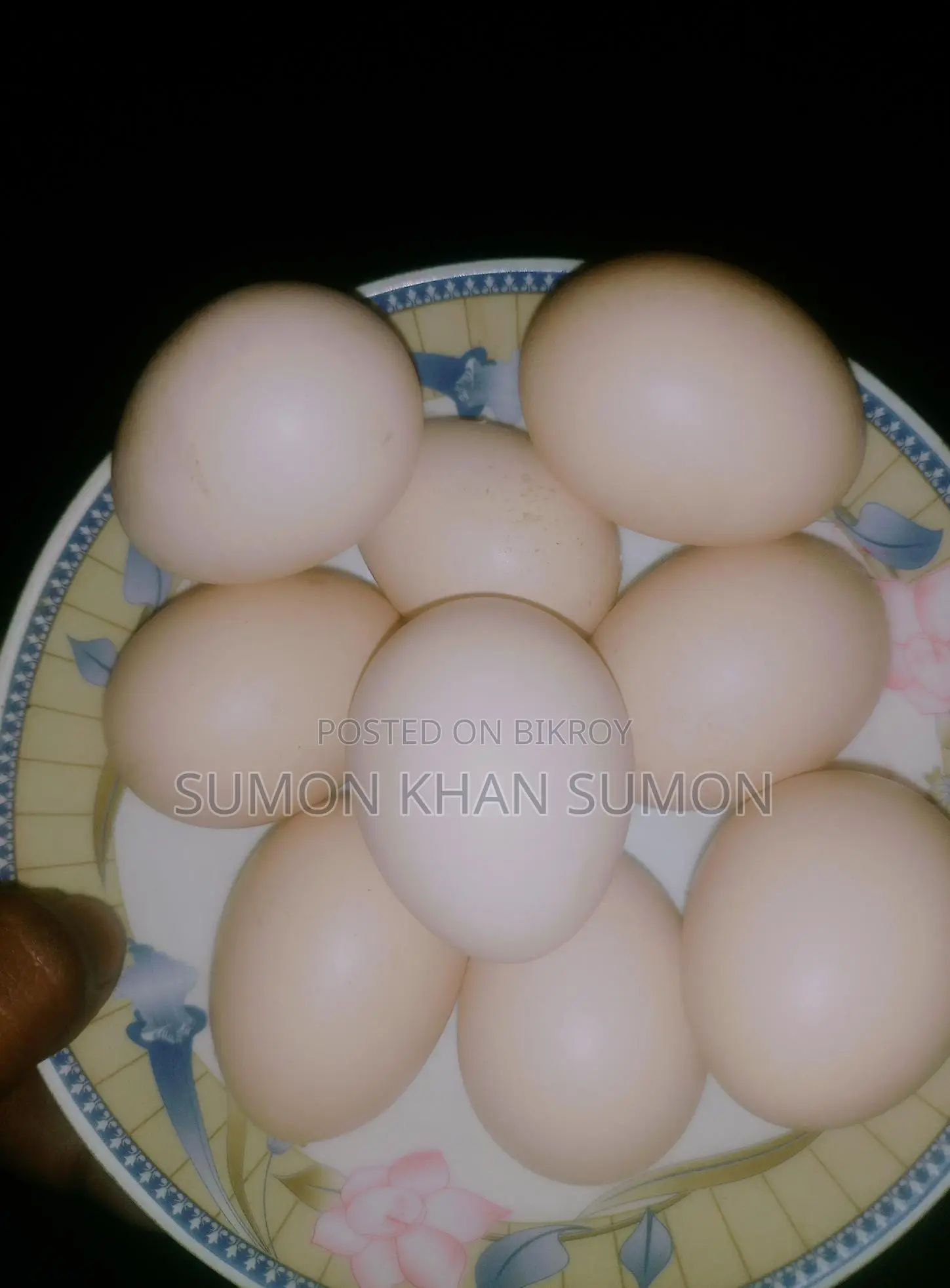 ব্রাহামা মুরগীর বিজ ডিম বিক্রি হবে