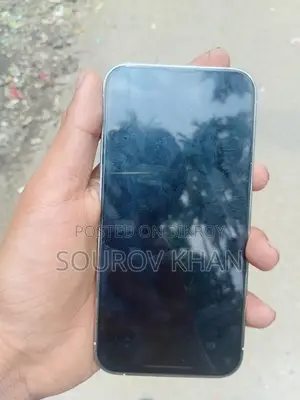 Apple iPhone 13 Pro ব্যবহিত (Used)
