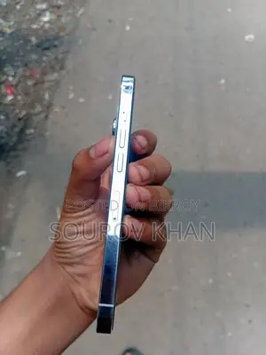 Apple iPhone 13 Pro ব্যবহিত (Used)