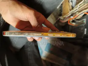 Apple iPhone 12 Pro Max . (ব্যবহৃত)