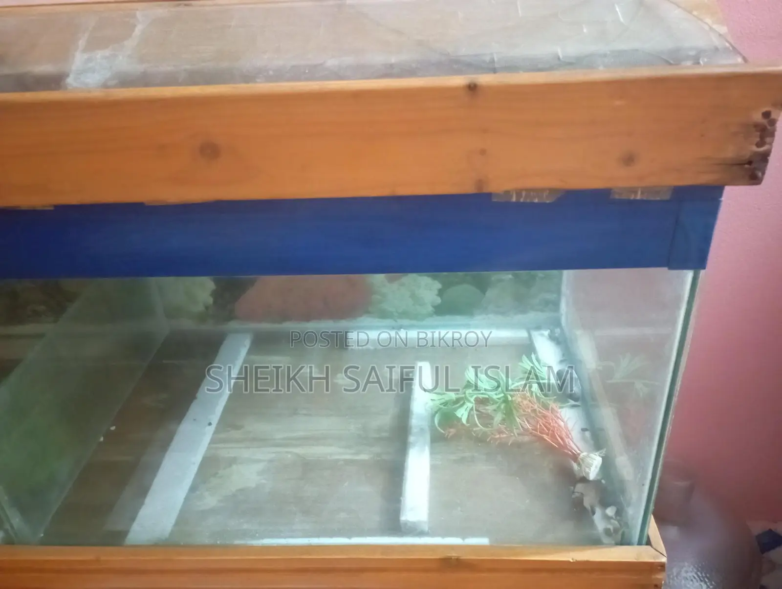 Big Size Aquarium