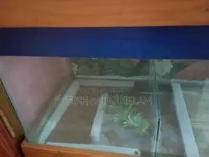 Big Size Aquarium