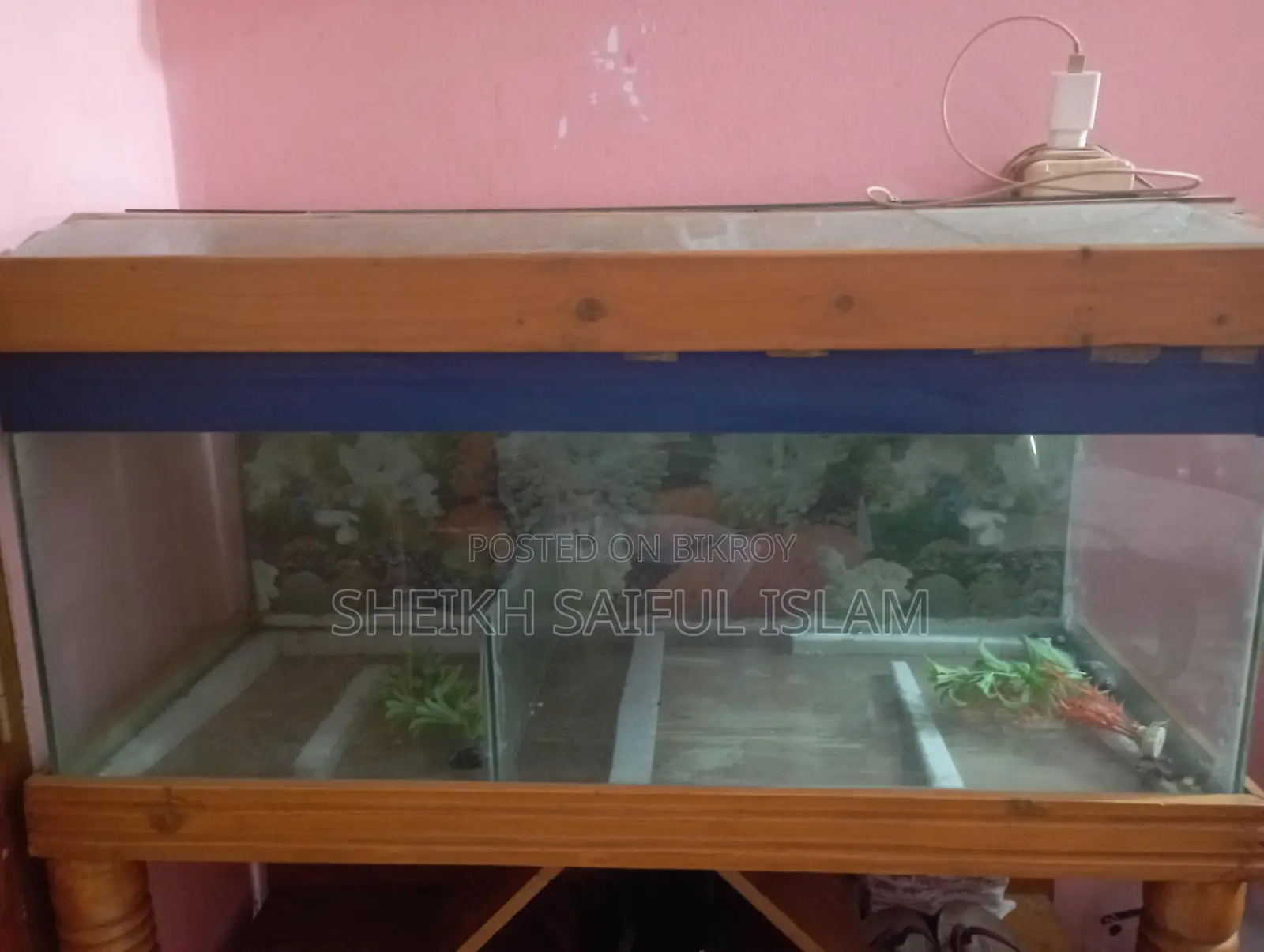 Big Size Aquarium