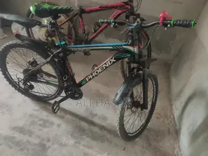 Phoenix Gear Cycle All Ok..