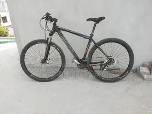 Monty - 29"