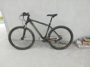 Monty - 29"