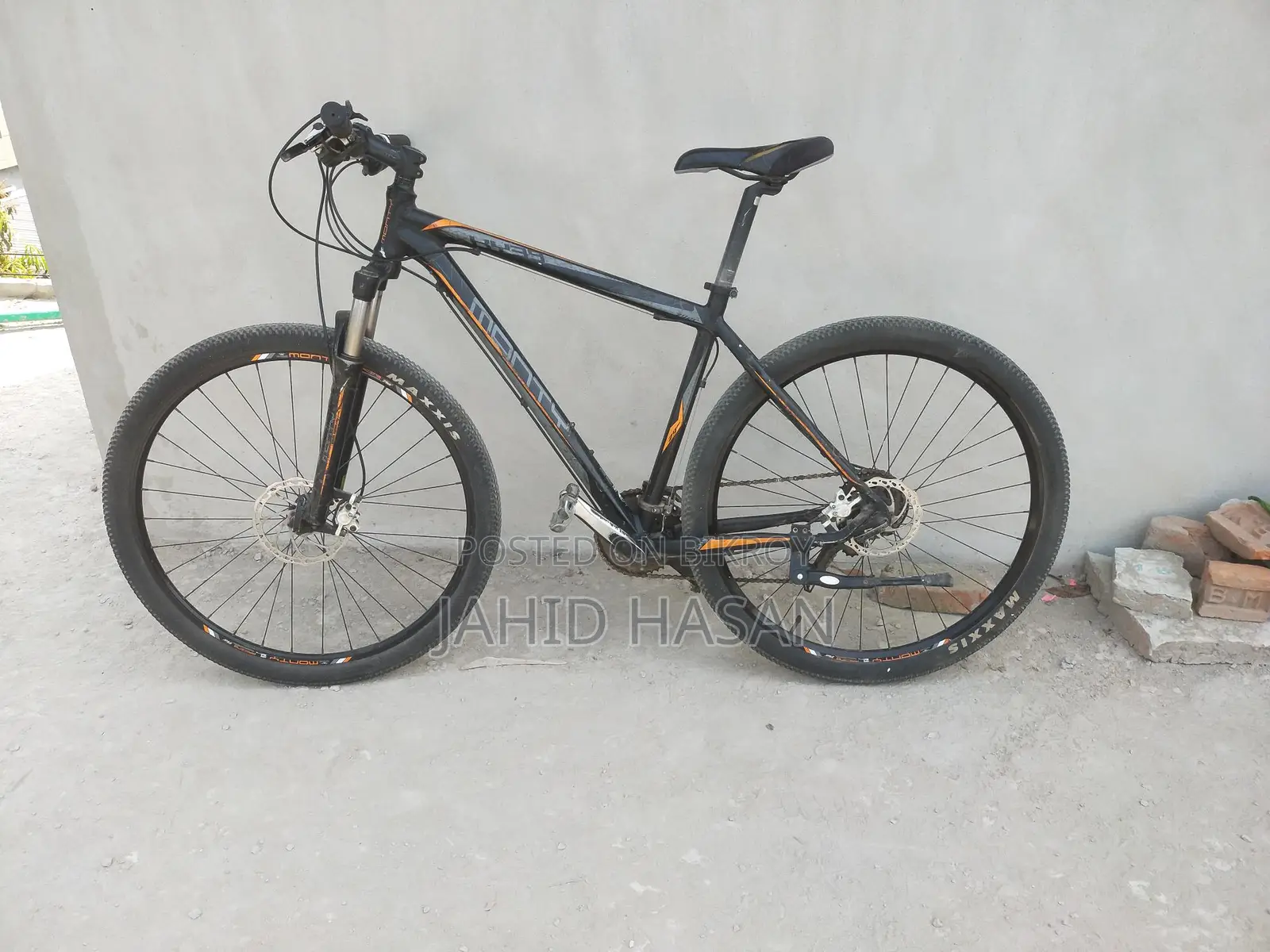 Monty - 29"