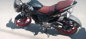 Runner KnightRider 2020