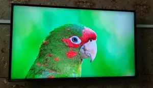 LG 43 Inch UHD TV Korea