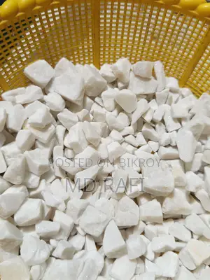 একুরিয়ামের পাথর সেল হবে