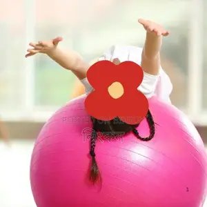 Pink Gym Ball