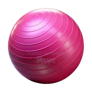 Pink Gym Ball