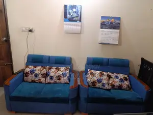 Home-used Sofa