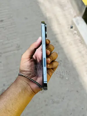 Apple iPhone 13 Pro Max (Used)