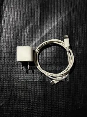 Charger for Sale