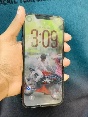 Apple iPhone 12 Pro Max (Used)