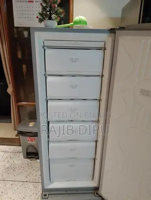Walton Deep Freezer