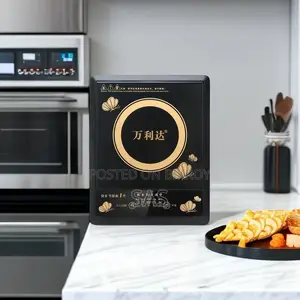 Electronic Stove