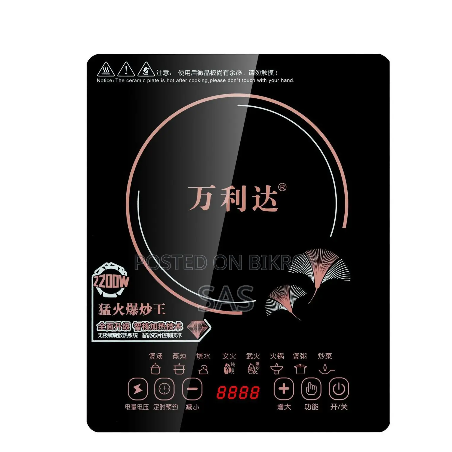 Electronic Stove