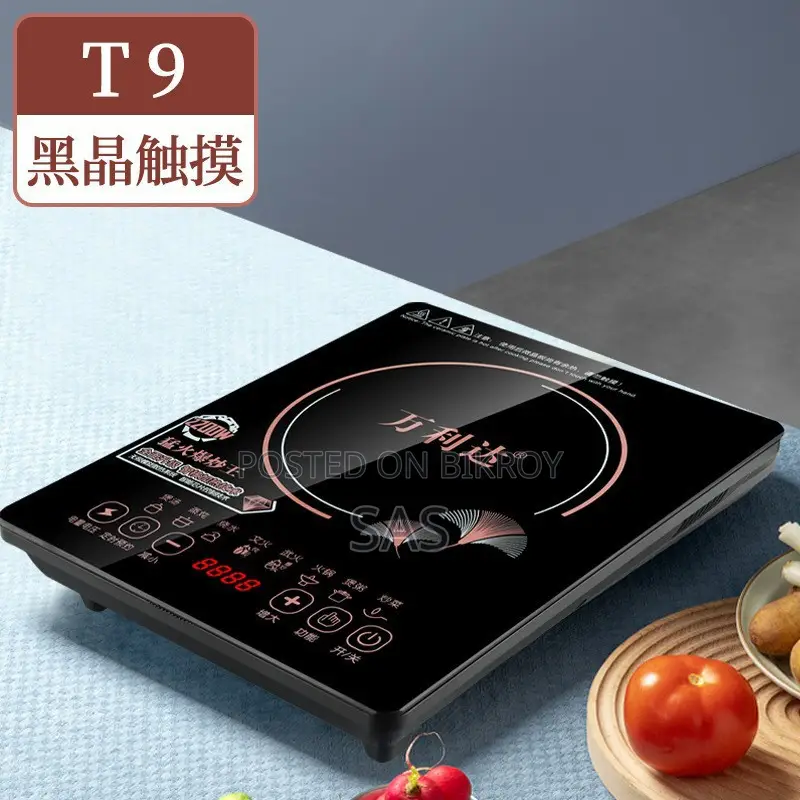 Electronic Stove