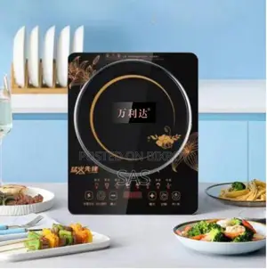Electronic Stove