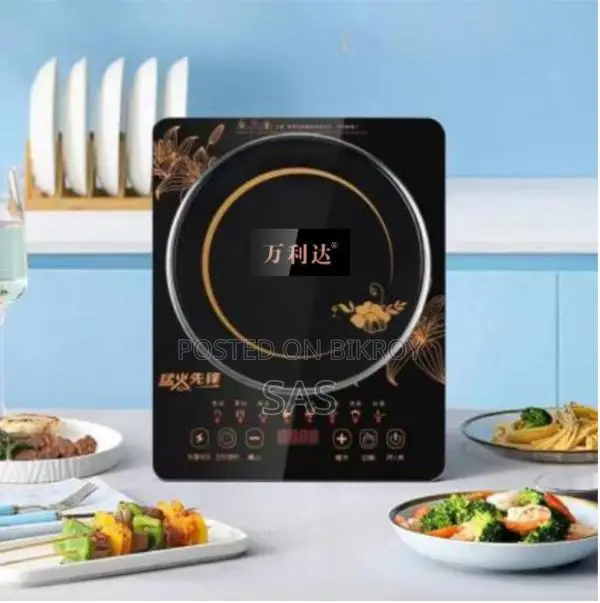 Electronic Stove