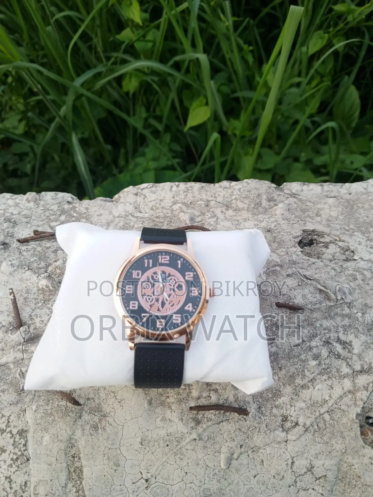Machanical Titan Watch