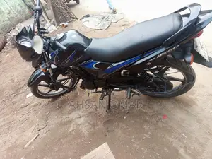 Suzuki Hayate 2017