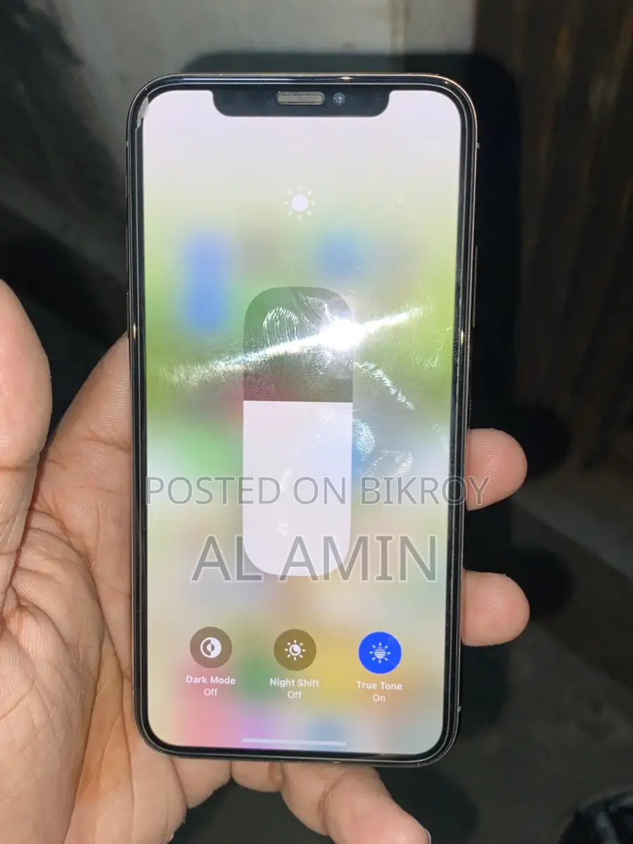 Apple iPhone XS 256gb (Used)