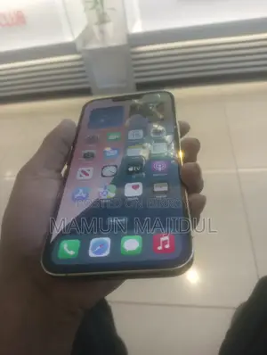 Apple iPhone 13 Pro Max (Used)