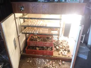 750-egg incubator