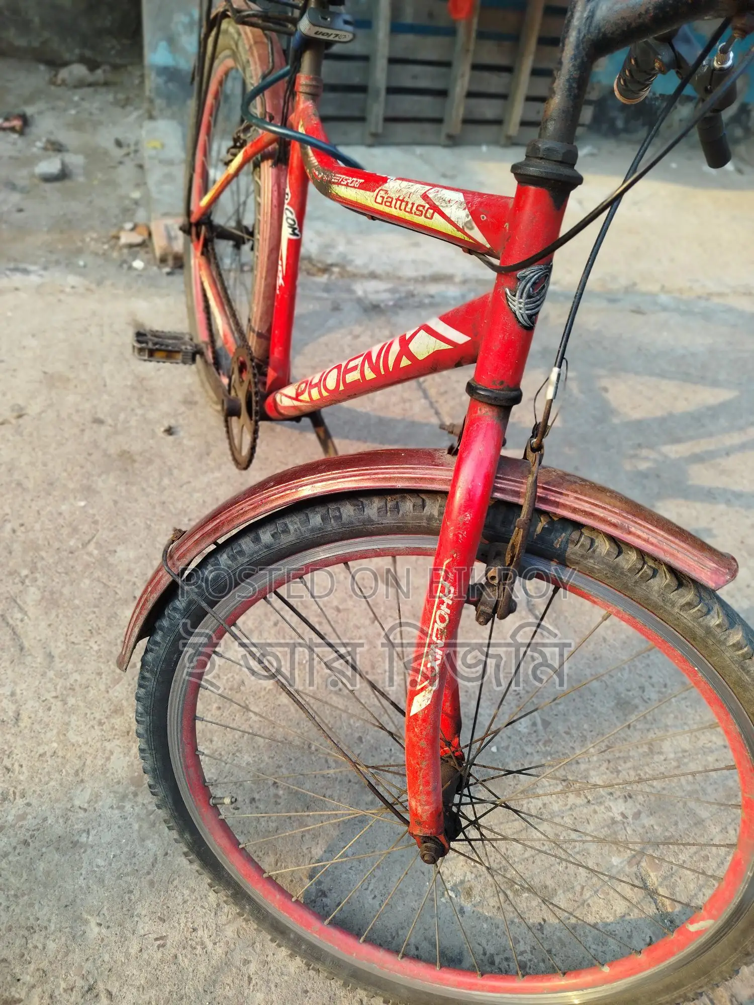 Perfectly Running Bicycle