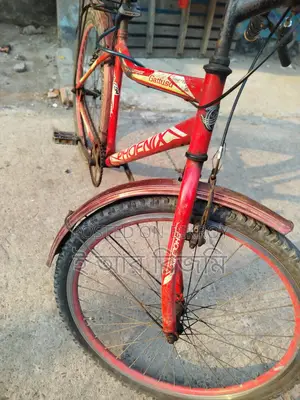 Perfectly Running Bicycle