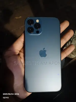 Apple iPhone 12 Pro (Used)