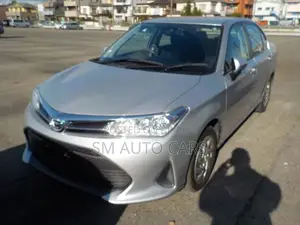 Toyota Axio Non Hybrid EX Silver 2021