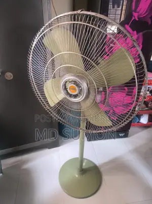 Original Pakistani Fan