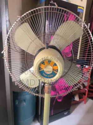 Original Pakistani Fan