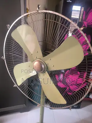 Original Pakistani Fan
