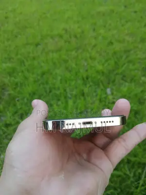 Apple iPhone 12 Pro (Used)