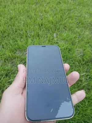 Apple iPhone 12 Pro (Used)