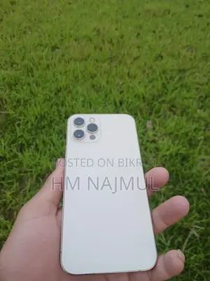 Apple iPhone 12 Pro (Used)