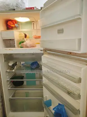 Toshiba Hybrid Plasma, Deodorizer, and Minus Ion Fridge