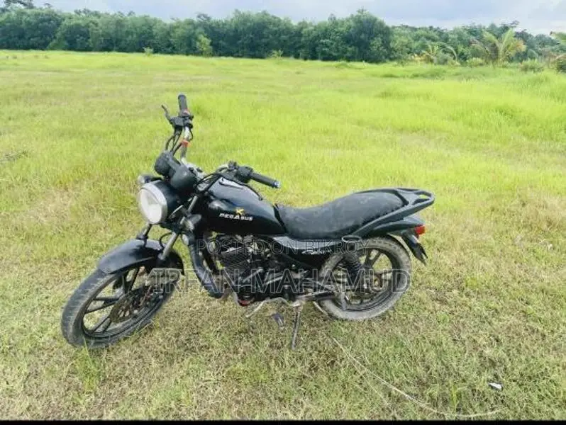 Jamuna . 2019